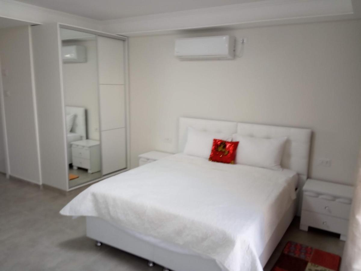 Coral Suite New Vacation Apartment إيلات المظهر الخارجي الصورة